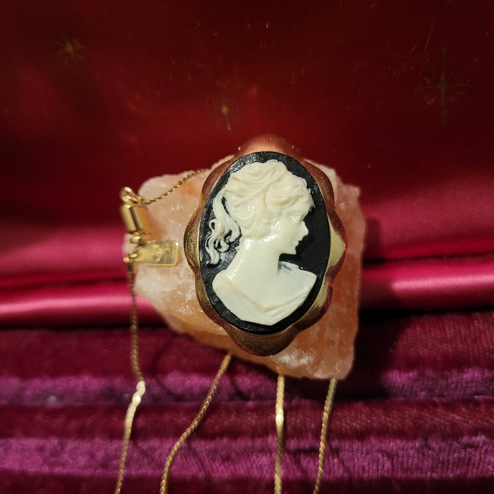 Vintage Collection of Cameo Silhouette - Picture 6 of 9